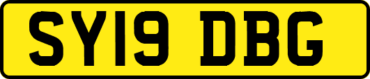 SY19DBG