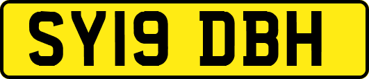 SY19DBH
