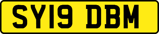 SY19DBM