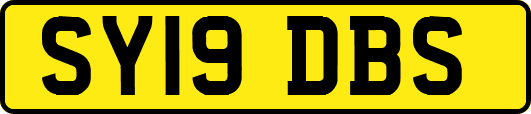 SY19DBS