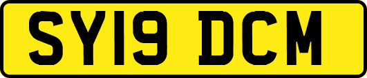 SY19DCM