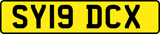 SY19DCX