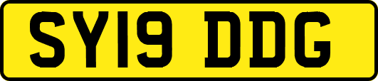 SY19DDG