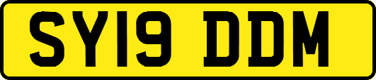 SY19DDM