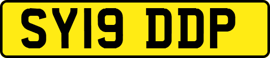 SY19DDP