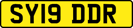 SY19DDR