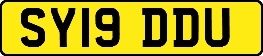 SY19DDU