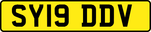 SY19DDV