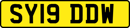 SY19DDW