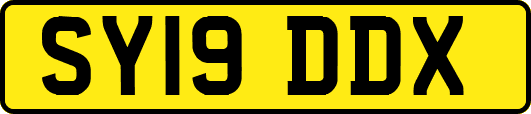 SY19DDX
