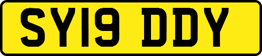 SY19DDY