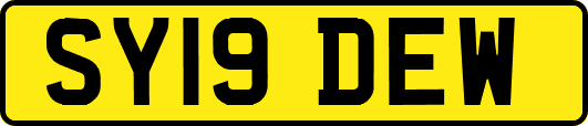 SY19DEW
