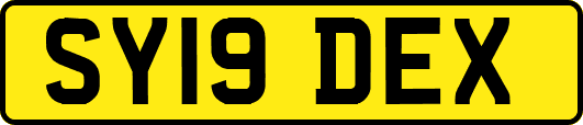 SY19DEX