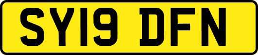 SY19DFN