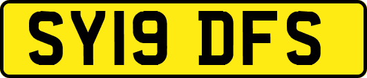 SY19DFS