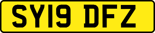 SY19DFZ