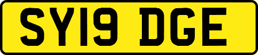 SY19DGE