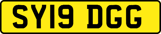 SY19DGG