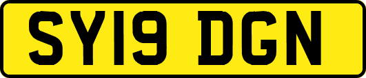 SY19DGN