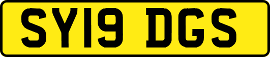 SY19DGS