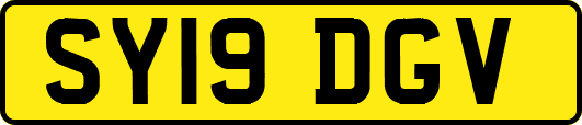 SY19DGV