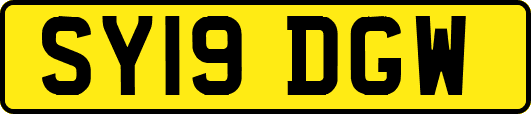 SY19DGW