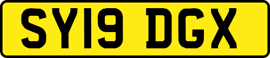 SY19DGX