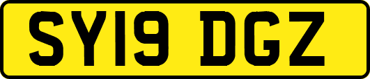 SY19DGZ