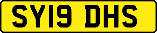SY19DHS