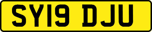 SY19DJU