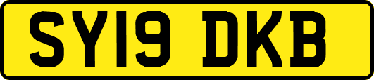 SY19DKB