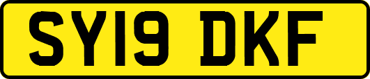 SY19DKF