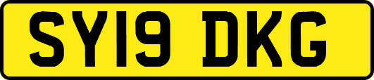 SY19DKG