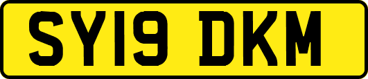 SY19DKM