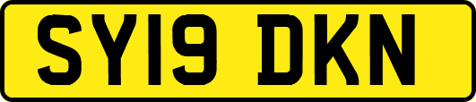 SY19DKN