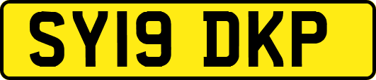 SY19DKP