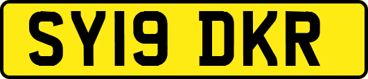 SY19DKR