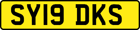 SY19DKS