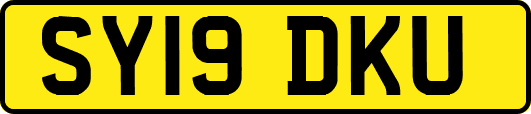 SY19DKU