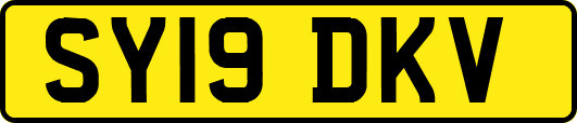 SY19DKV