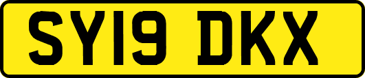 SY19DKX