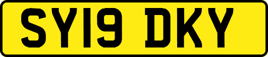 SY19DKY