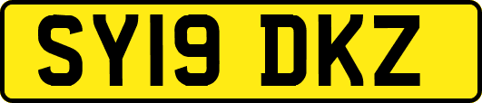 SY19DKZ