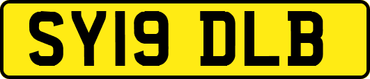 SY19DLB