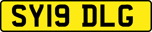 SY19DLG