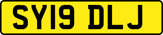 SY19DLJ