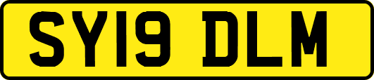 SY19DLM