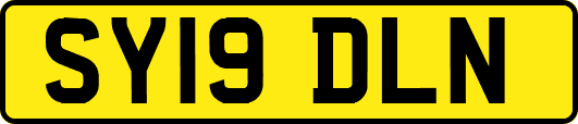 SY19DLN