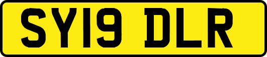 SY19DLR