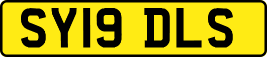 SY19DLS